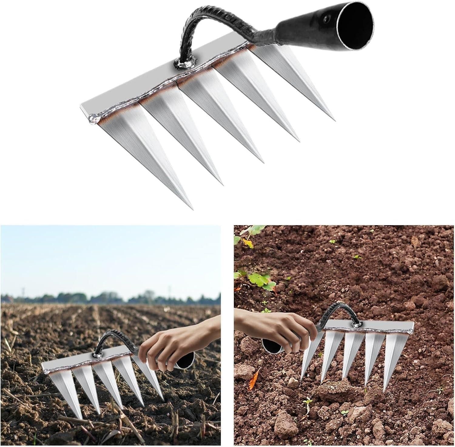Garden Weeding